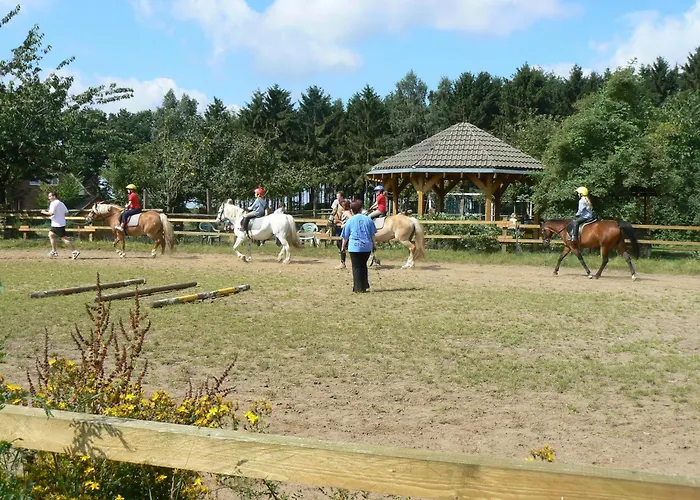 Frohne - Zum Wilden Eber Apartman